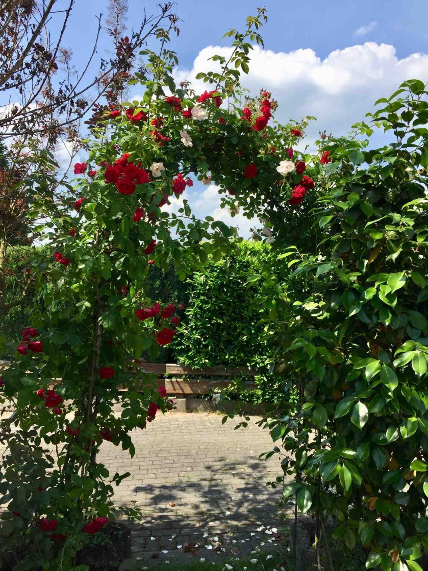 Ferienwohnung Ferienhaus Windmuehlenweg Mit Garten Spenge Exterior foto